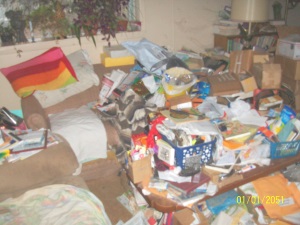 family-room-piles