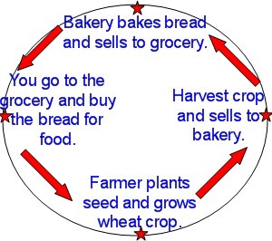 basis economic cycle